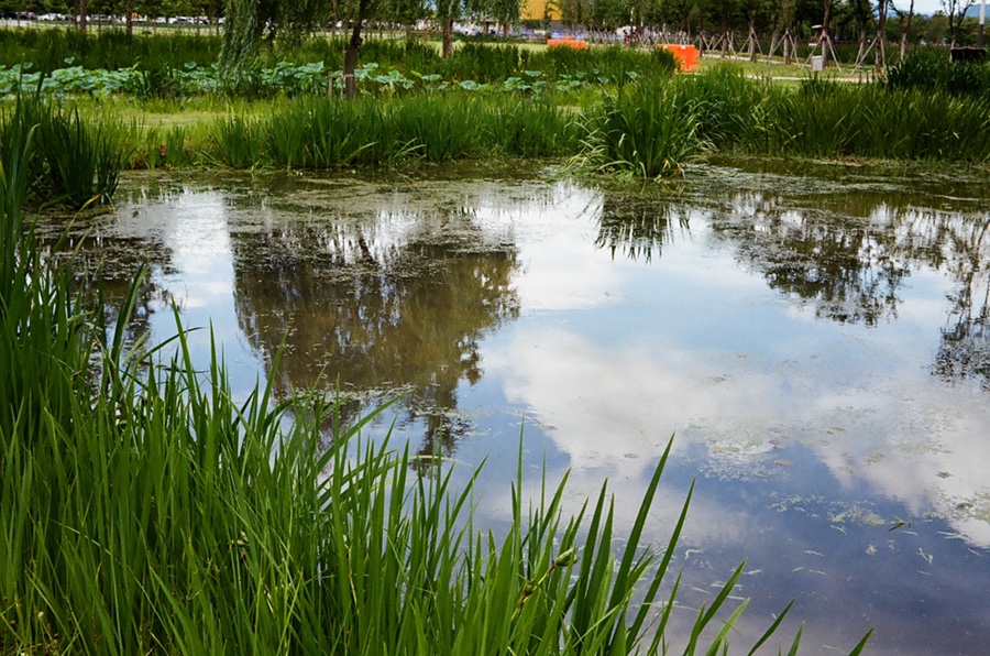 img 3556